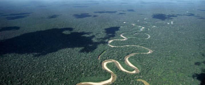 Калифорния также импортирует больше нефти из тропических лесов Амазонки, чем любая другая страна в мире.