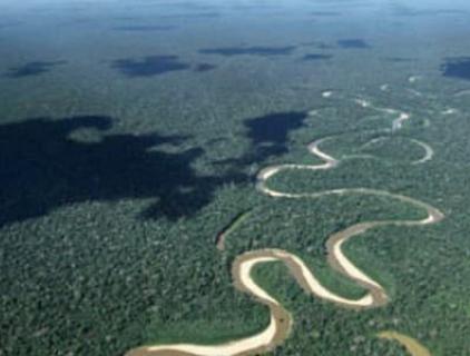Калифорния также импортирует больше нефти из тропических лесов Амазонки, чем любая другая страна в мире.
